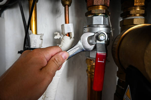 Best Residential Plumbing Services  in Avis, PA